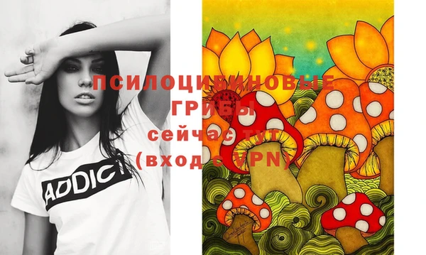 дурь Алзамай