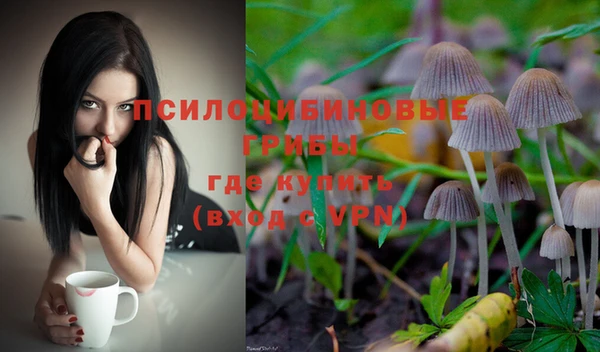 дурь Алзамай