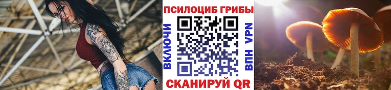Псилоцибиновые грибы прущие грибы  магазин    ссылка на мегу ссылка  Феодосия 