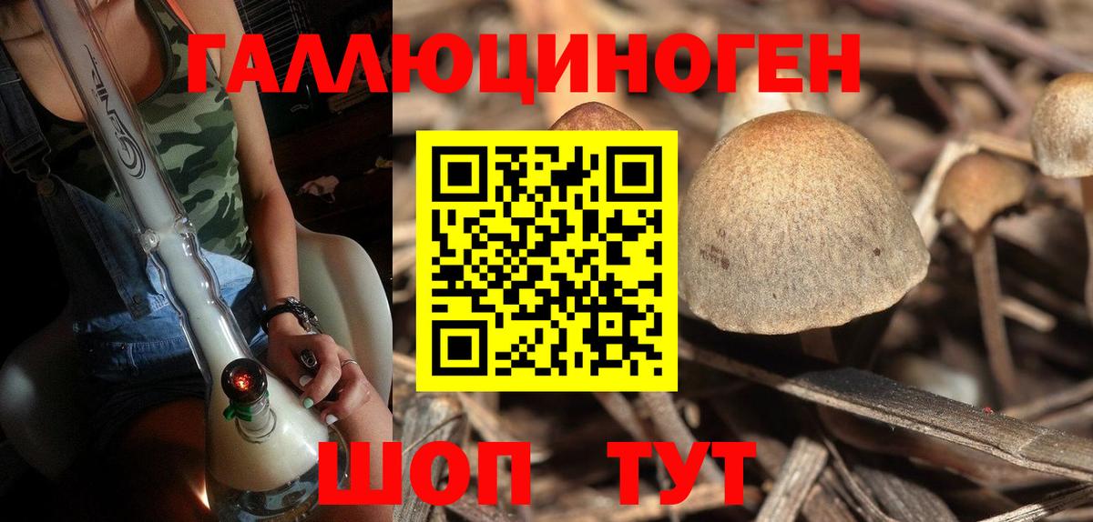 Псилоцибиновые грибы Cubensis Феодосия