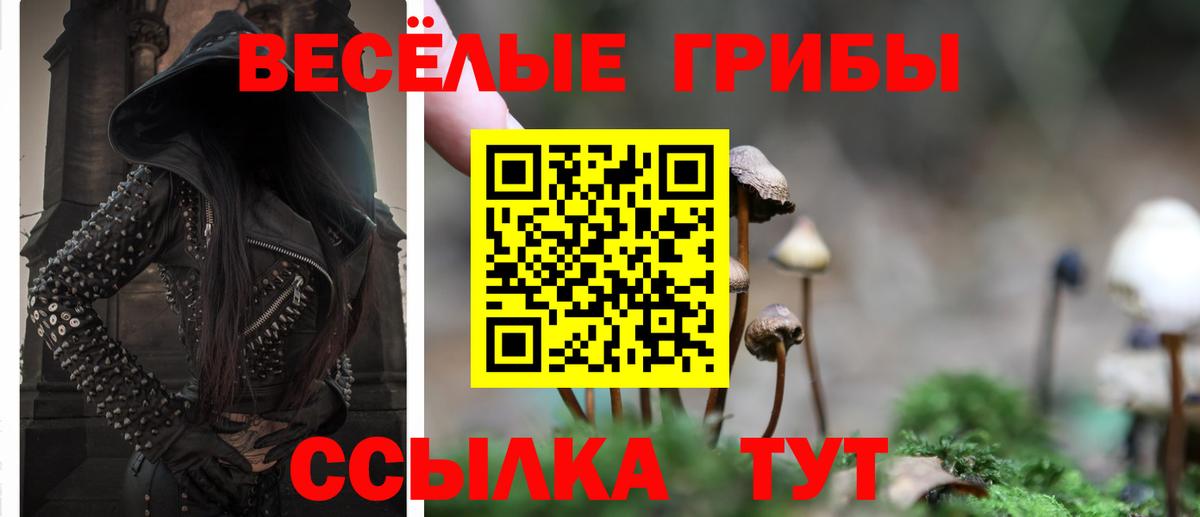 Феодосия  Псилоцибиновые грибы GOLDEN TEACHER  Вход с VPN 